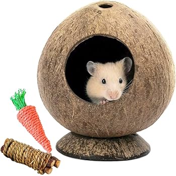 ハムスター用品★まとめて( ˊᵕˋ* )♩ ルックルック ハムスター バイオレット ｜ 株式会社三晃商会